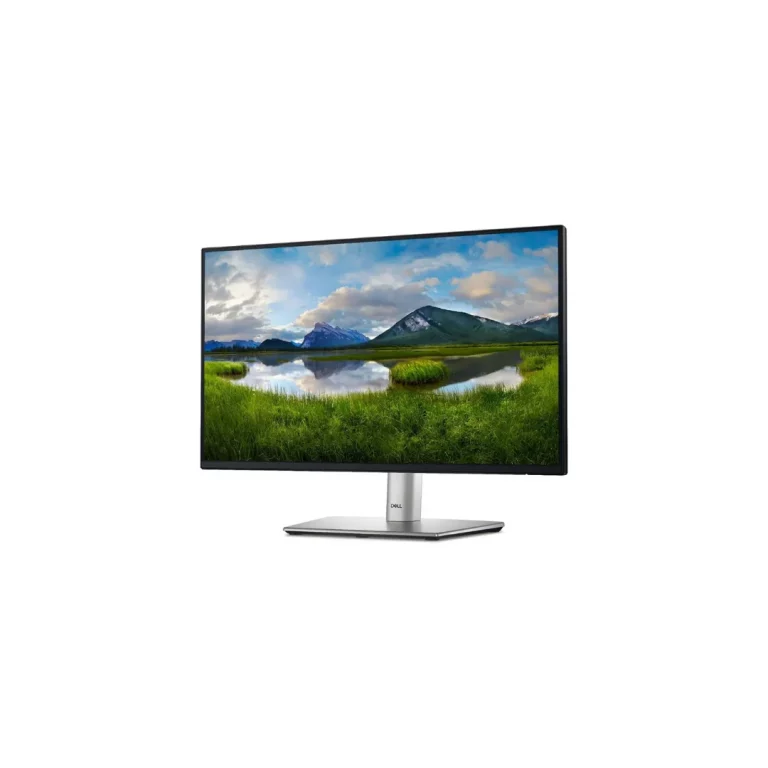 Dell Monitor P2422H 23.8″