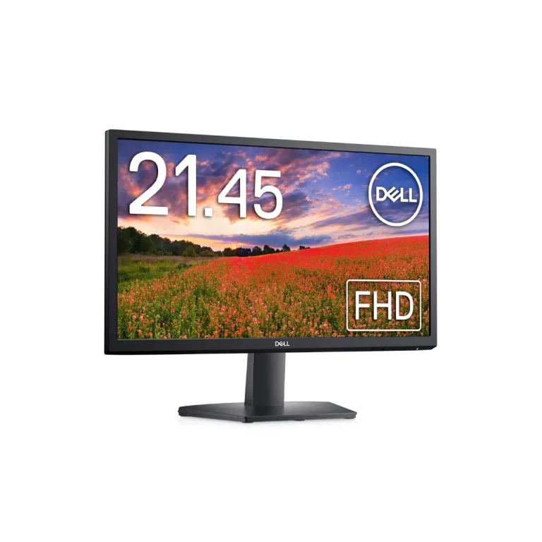 Dell Monitor SE2222H