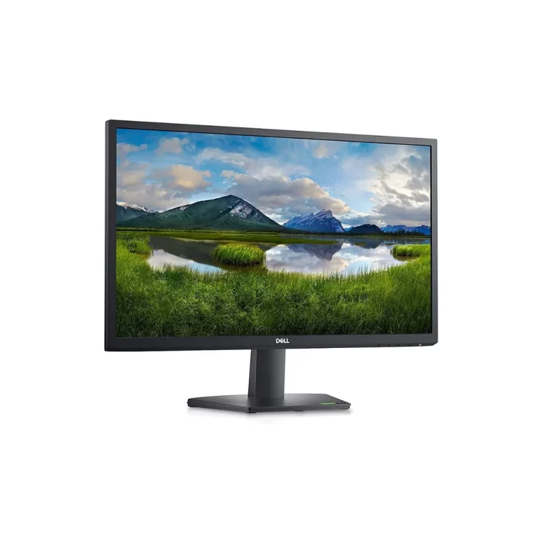 Dell Monitor SE2422H