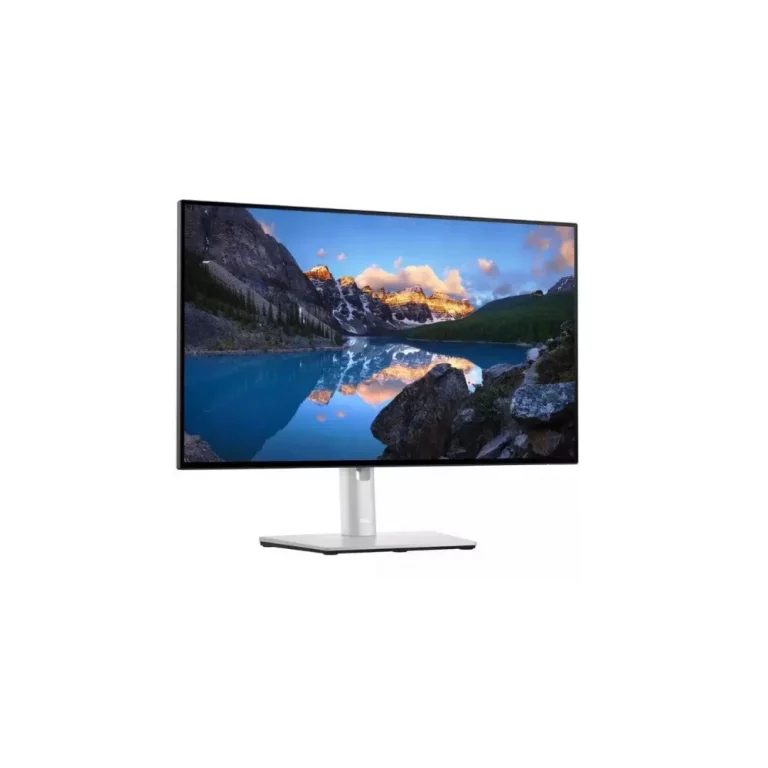 Dell Monitor U2422H