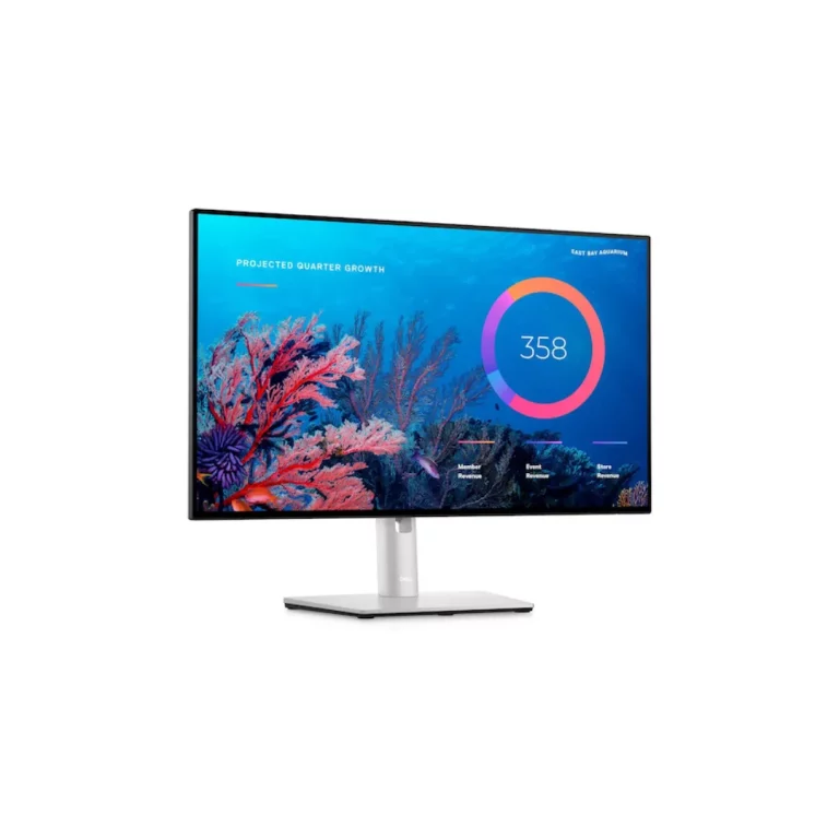 Dell Monitor U2422He